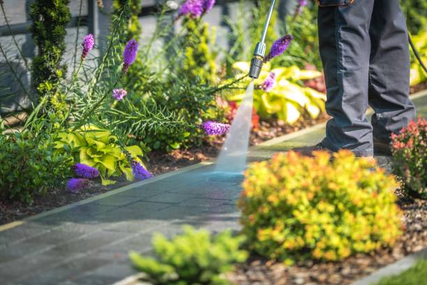 Best Winterizing Services  in Johns Creek, GA